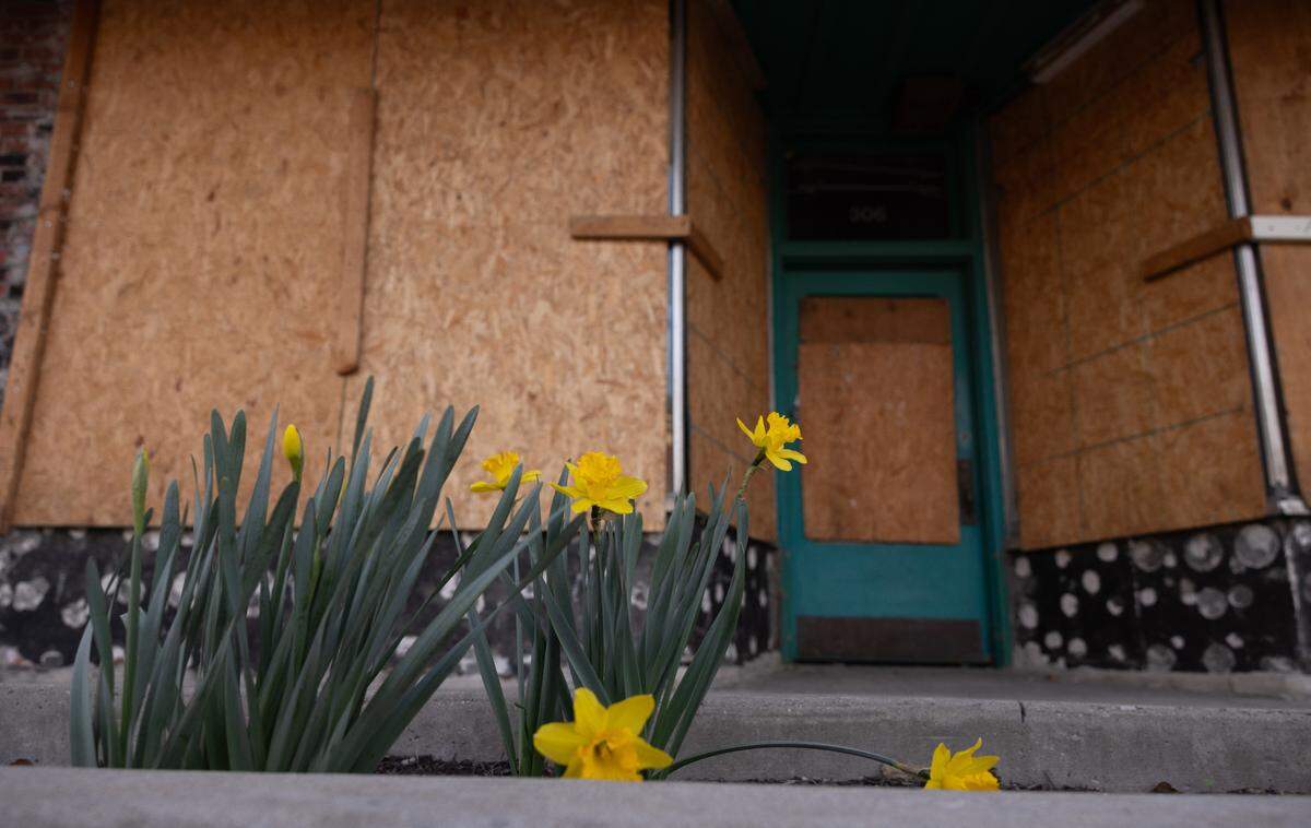 Plywood covers glass windows in a vacant business building March 19, 2025 in downtown Carbondale, Illinois. (Julia Rendleman for ProPublica)