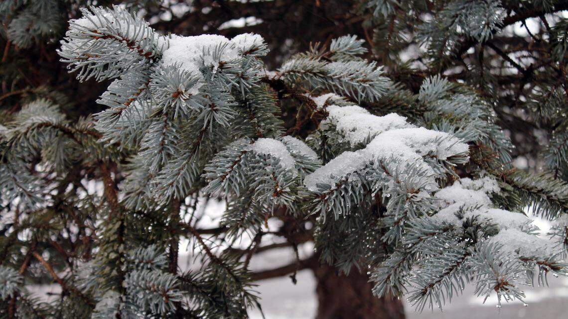 Will the metro-east get winter weather in time for Thanksgiving? See holiday forecast