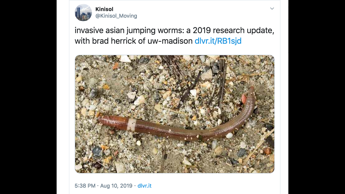 Jumping worms or ‘crazy worms’ have invaded Illinois and pose a great threat to plant life, experts say.