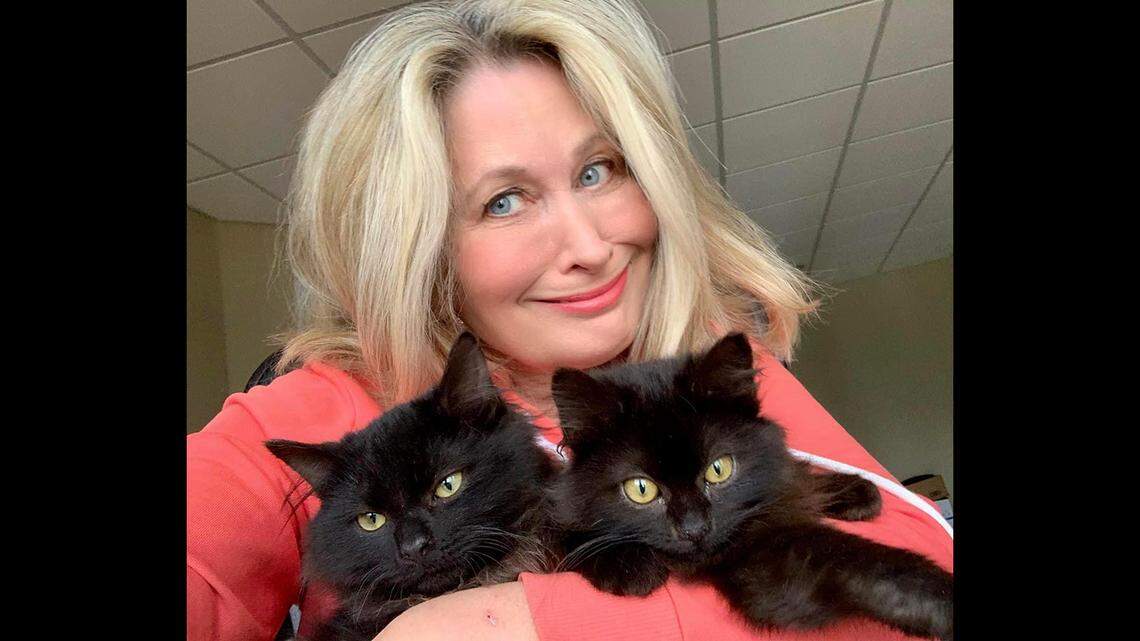 No ornaments hung this year because the Ninja Devils tried to eat the Christmas tree