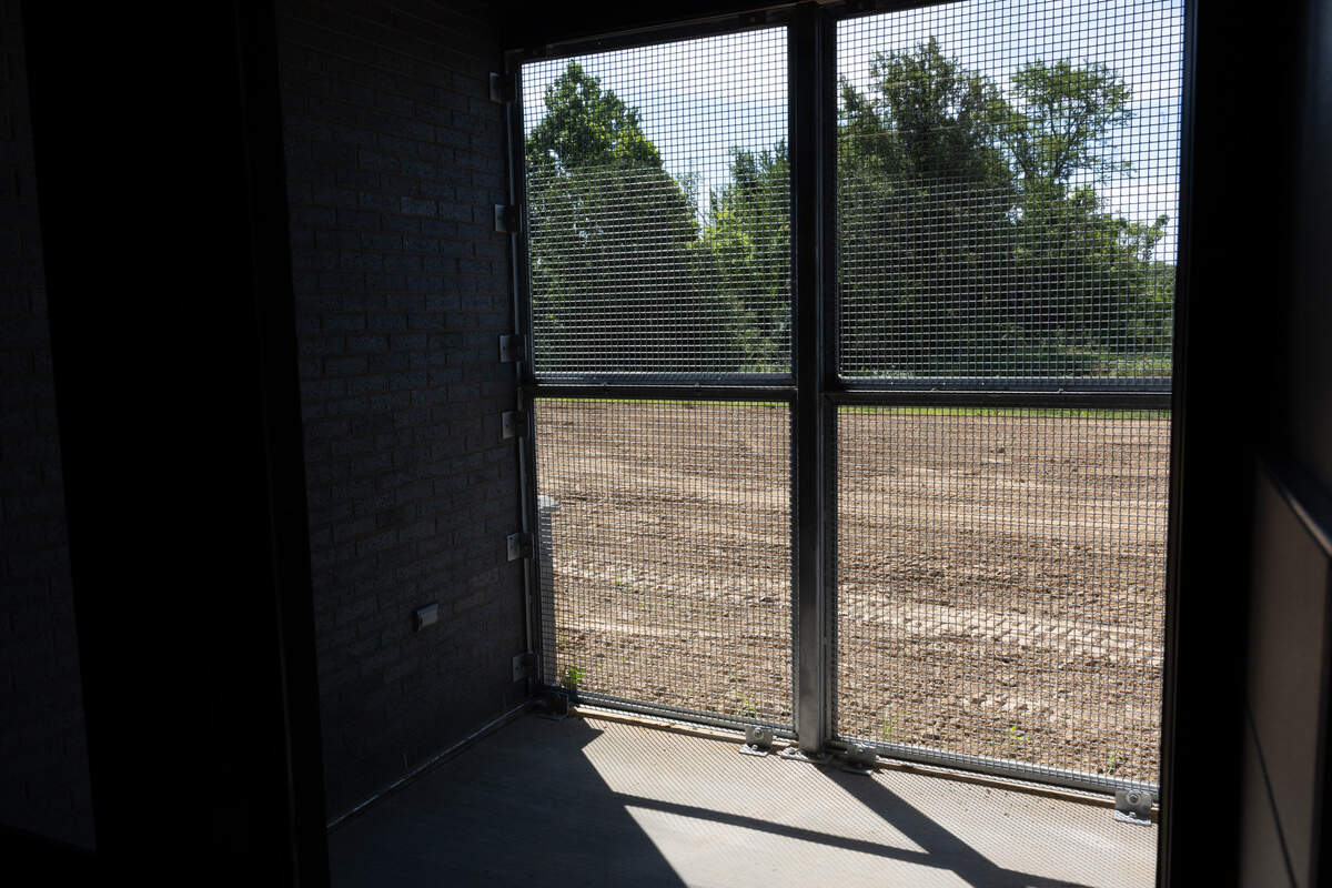 Cat enclosures at the new St. Clair County animal control building at 1123 Comwest Parkway in Belleville are known as “catios,” or enclosed spaces that allow cats to experience the outside air while still being contained.