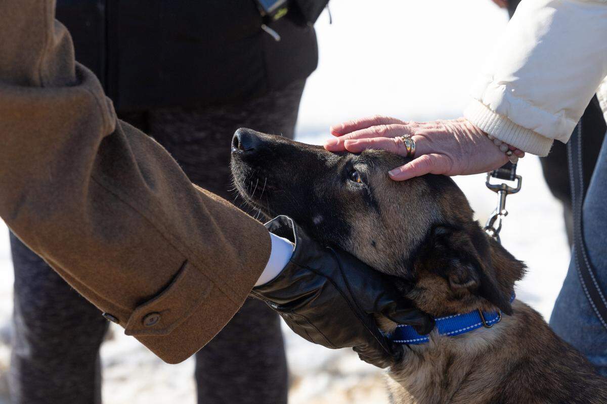 Ace the Belgian Malinois is greeted by members of local government during a groundbreaking ceremony for the new St. Clair County Animal Control building on Jan. 16, 2025.