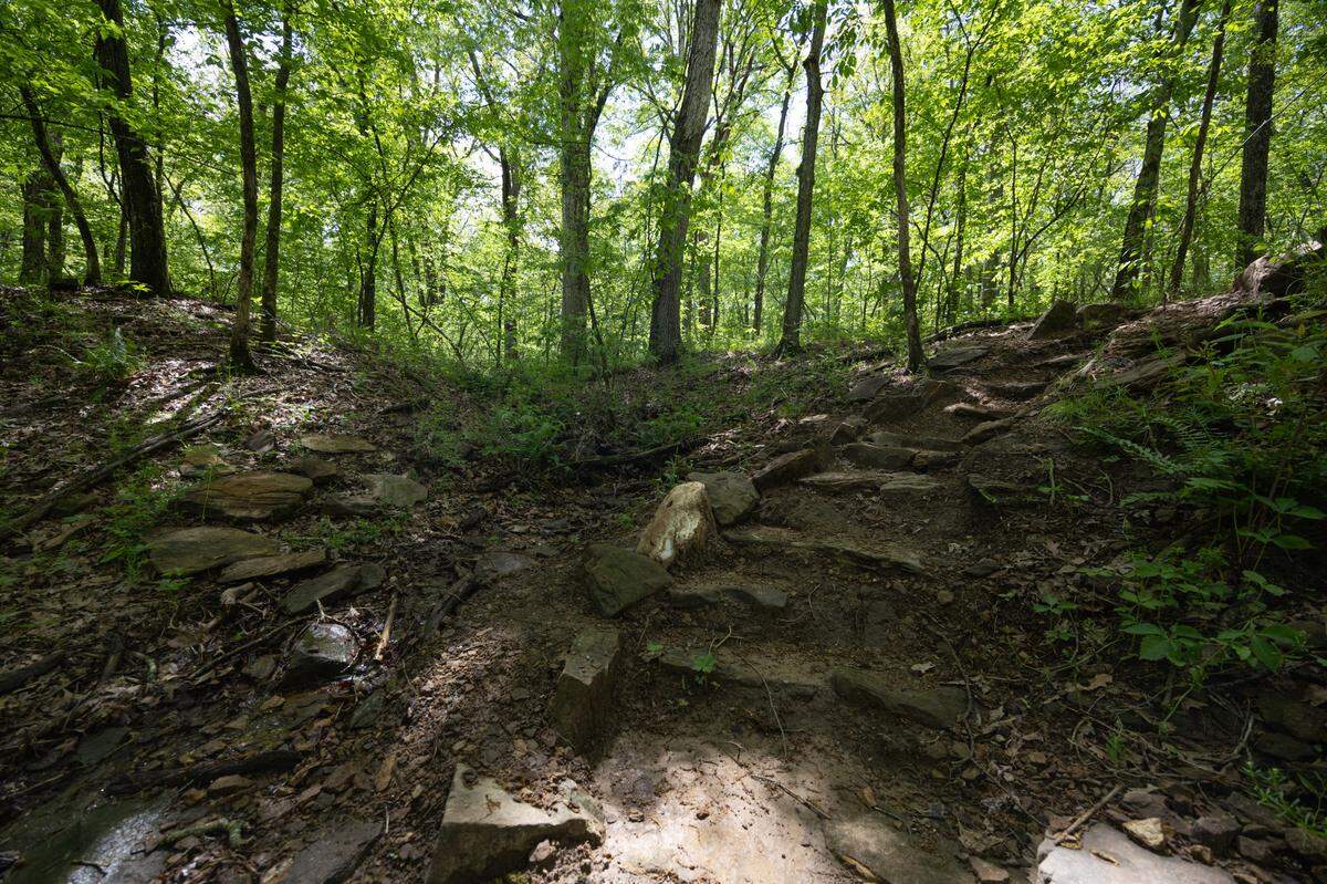 A short, peaceful walk down a stone staircase will bring you to a bubbling stream at Storment-Hauss Nature Preserve.