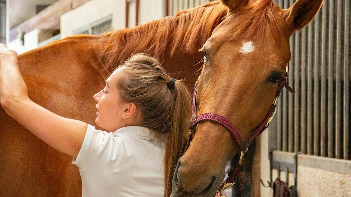 A measure awaiting Gov. JB Pritzker would mandate that certain insurance plans cover hippotherapy and other therapeutic horseback riding treatments.