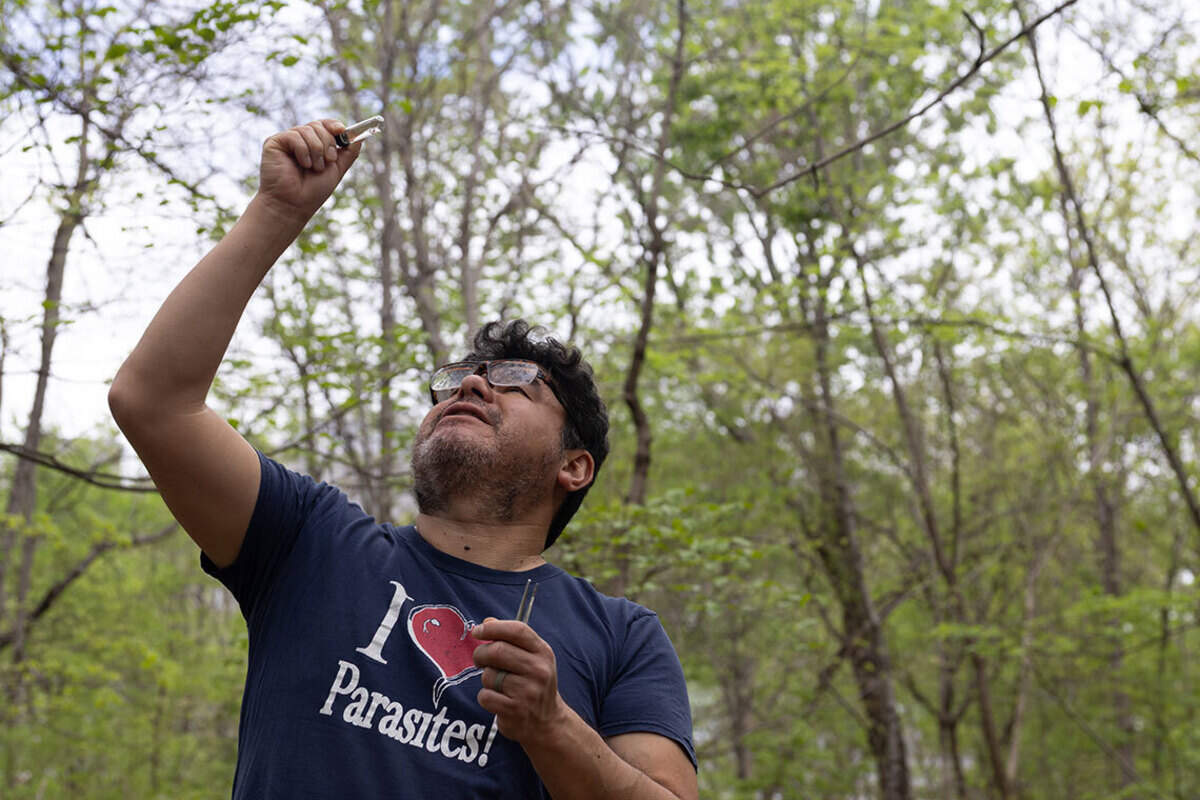 SIU Zoology professor Agustín holds a test tube of ticks during a collection in his course “Parasitology” where he led students in identifying and processing ticks in April in Carbondale.