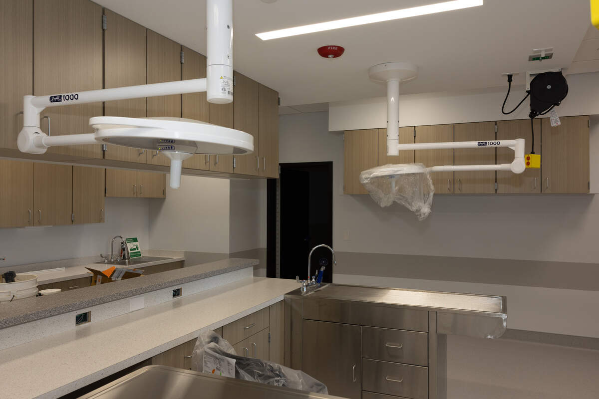 The new St. Clair County animal control building includes a medical suite.