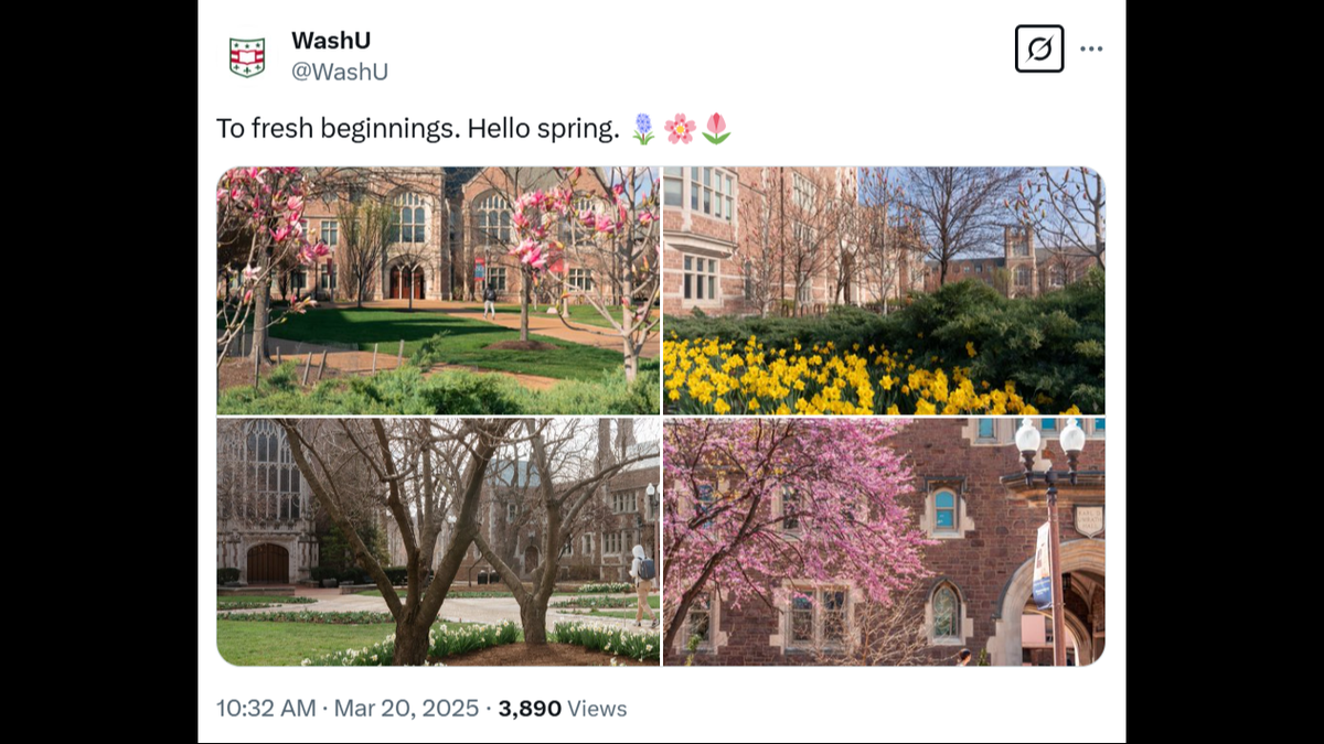 Washington University in St. Louis was recently named among the most beautiful college campuses in the U.S.