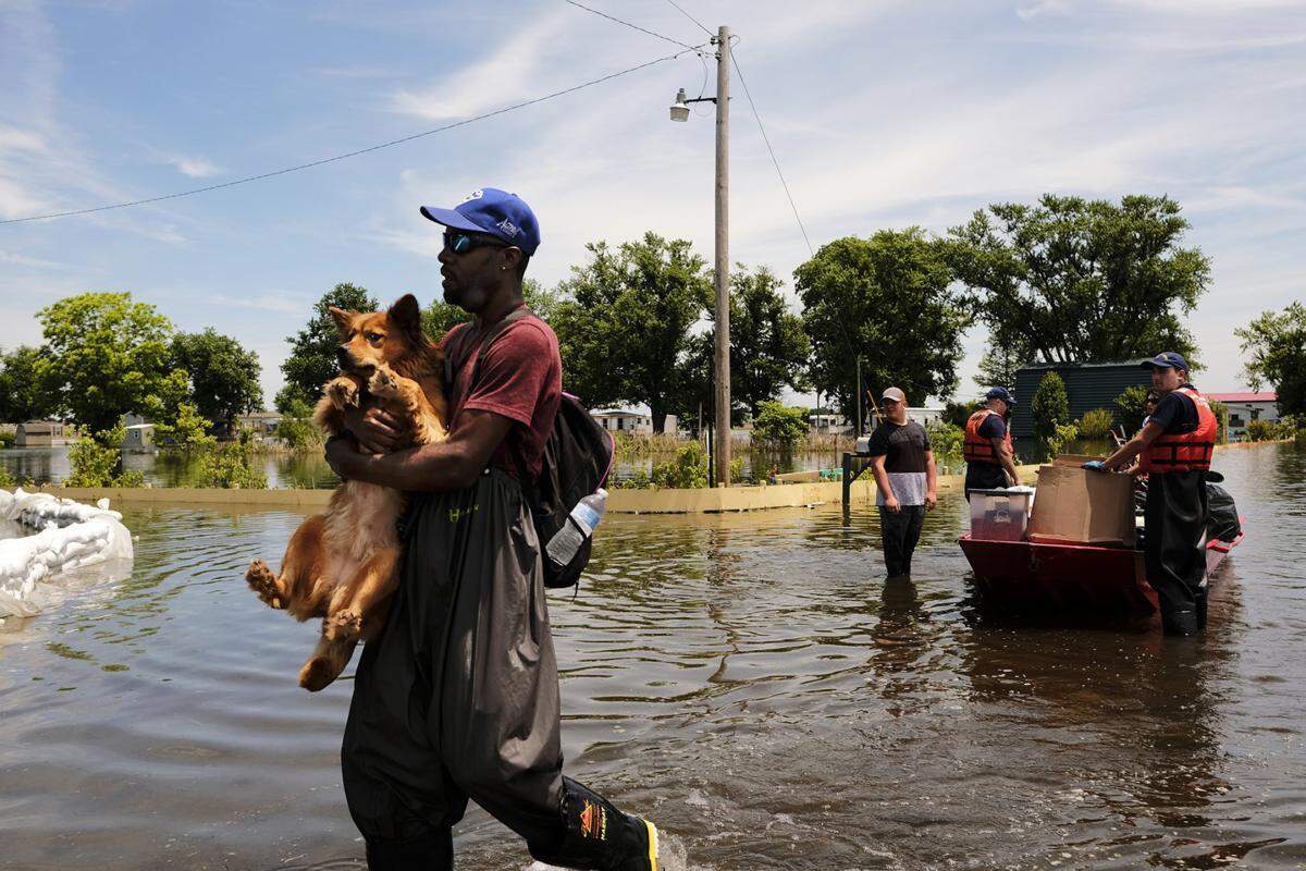 John Roberts rescues family dog Carmella in June as residents of a trailer court in East Cape Girardeau, Illinois, evacuate after seep water from flooding began to creep under their homes.