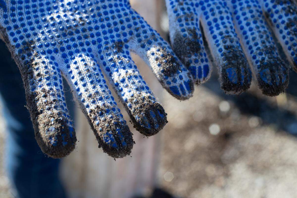 By the end of the cleanup, virtually everyone’s gloves had a certain degree of grime attached to them.