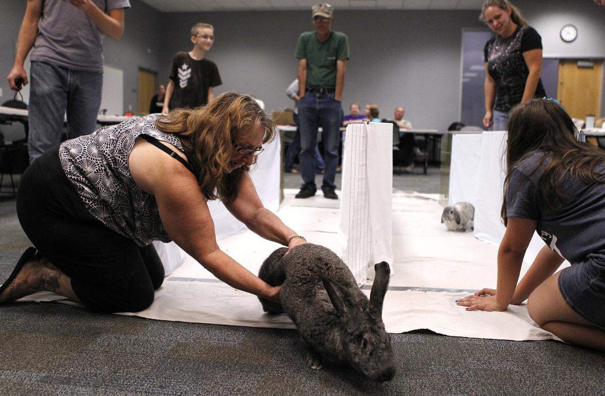 The House Rabbit Society will hold a meeting Feb. 21 at the Caseyville Township Building in Fairview Heights. The House Rabbit Society provides support and education for rabbit owners and promotes the rescue and adoption of rabbits. The group is open to anyone and membership is free. For more information visit www.hrsmostl.org.