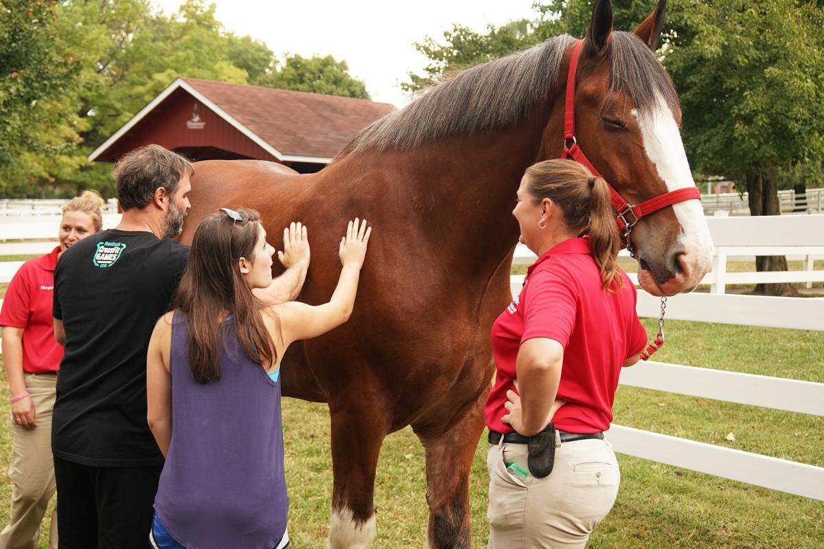 Grant’s Farm opens its 68th season Saturday, April 30. This year will include a variety of tours, including a Clydesdale Close-Up Tour. Visit www.grantsfarm.com for more info.