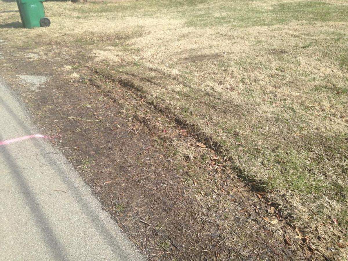 Roger Van Etten, who lives at 123 S. Lawn Ave., took this picture of ruts he said that where made in his yard from trucks turning in and out of construction site of the new Dollar General store in O'Fallon.