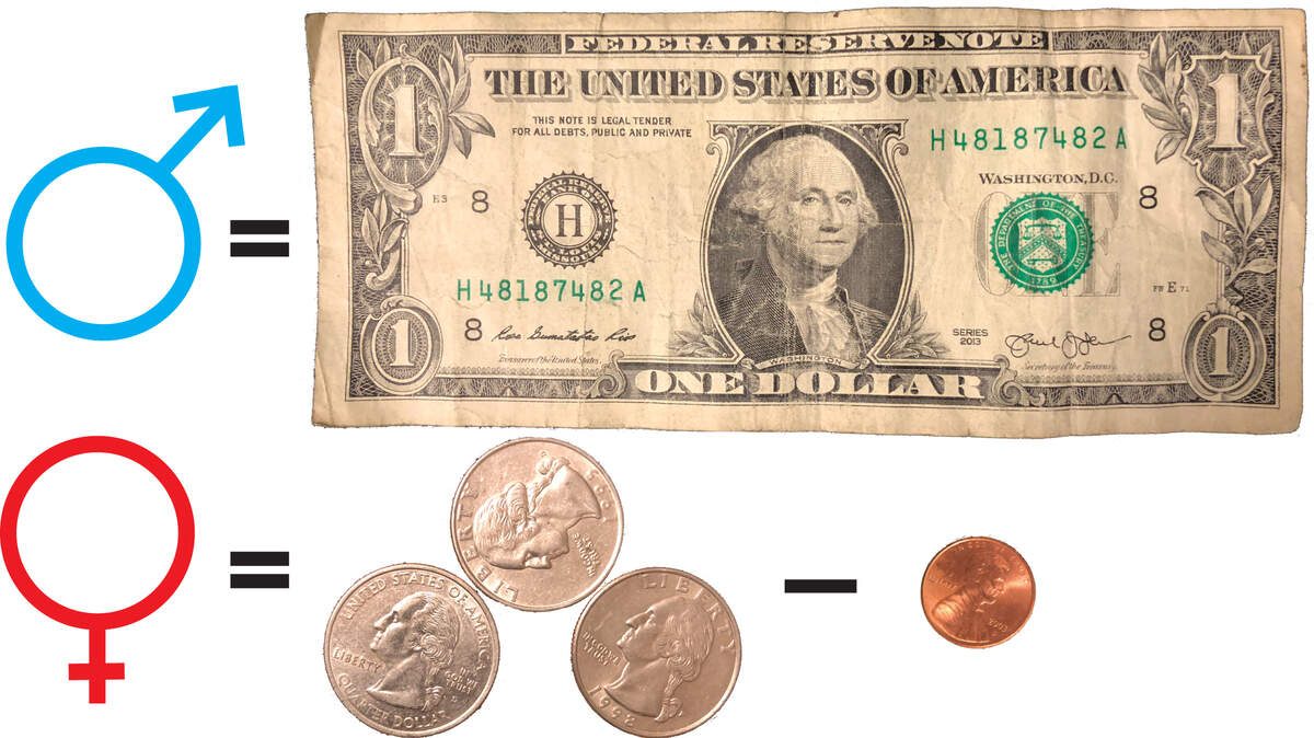 Madison County government's female workers made 74 cents for every $1 a male employee made last year.