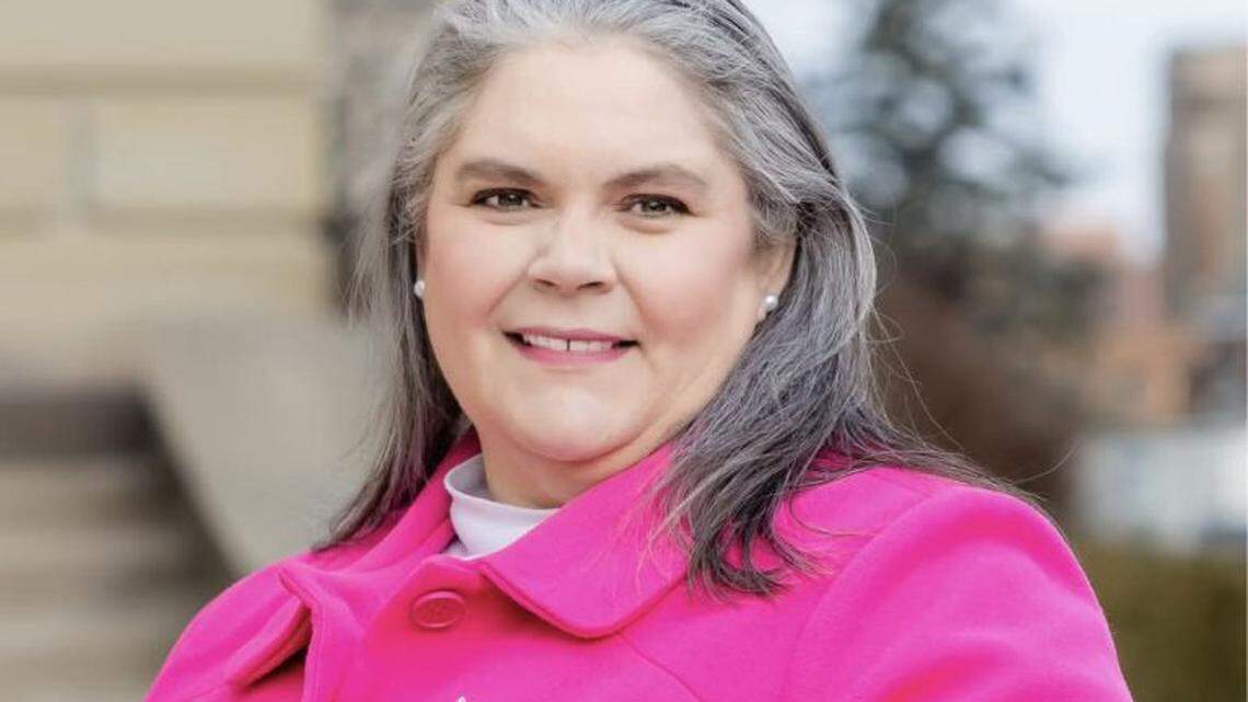 Metro-east nurse wants to unseat 3-term Republican in ultra-conservative district