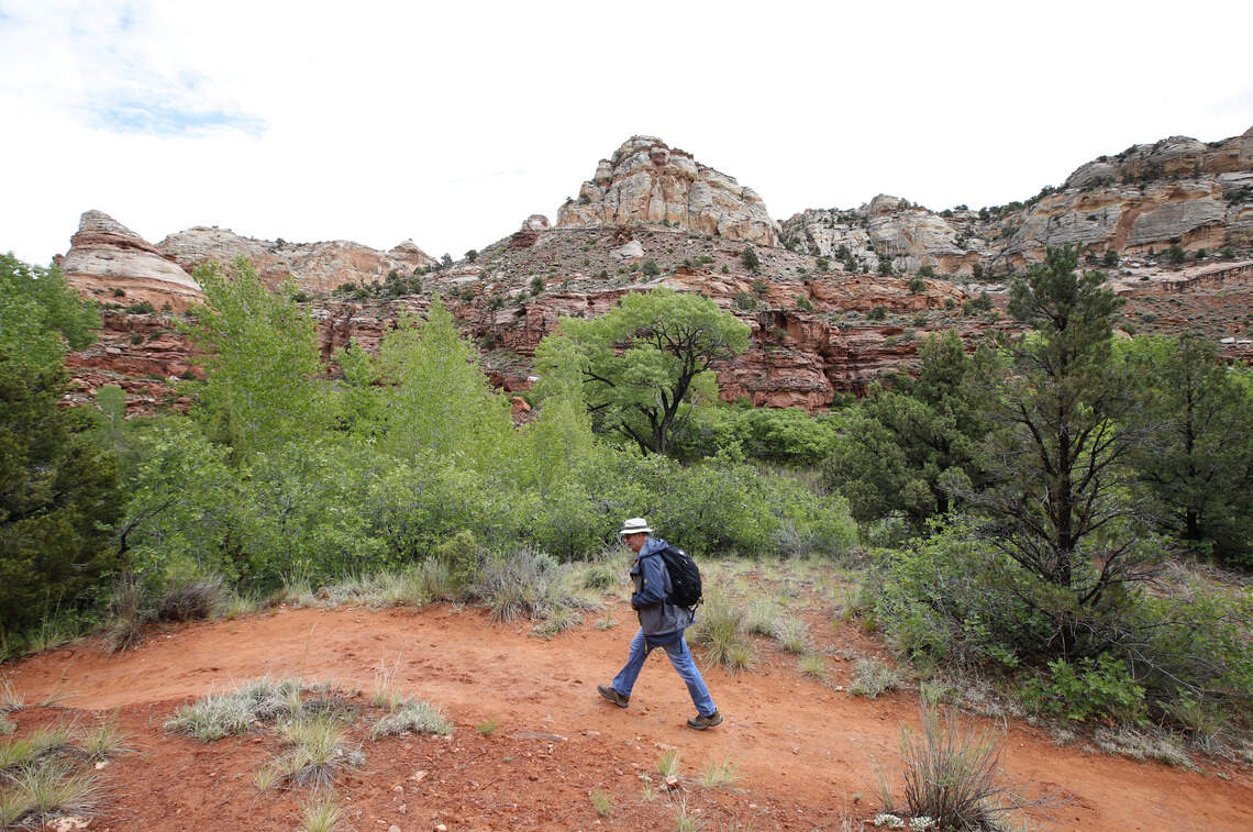 Hiking Trails Across Three Continents Make the Ultimate Bucket List, Here’s How to Plan Each One