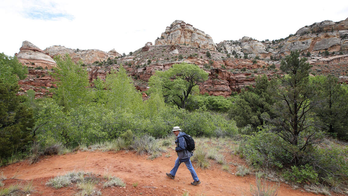 Hiking Trails Across Three Continents Make the Ultimate Bucket List, Here's How to Plan Each One