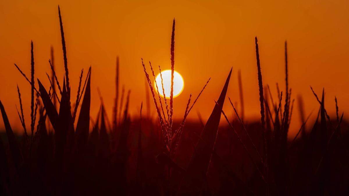 Winter officially begins soon, and sunset times will become later in Belleville.