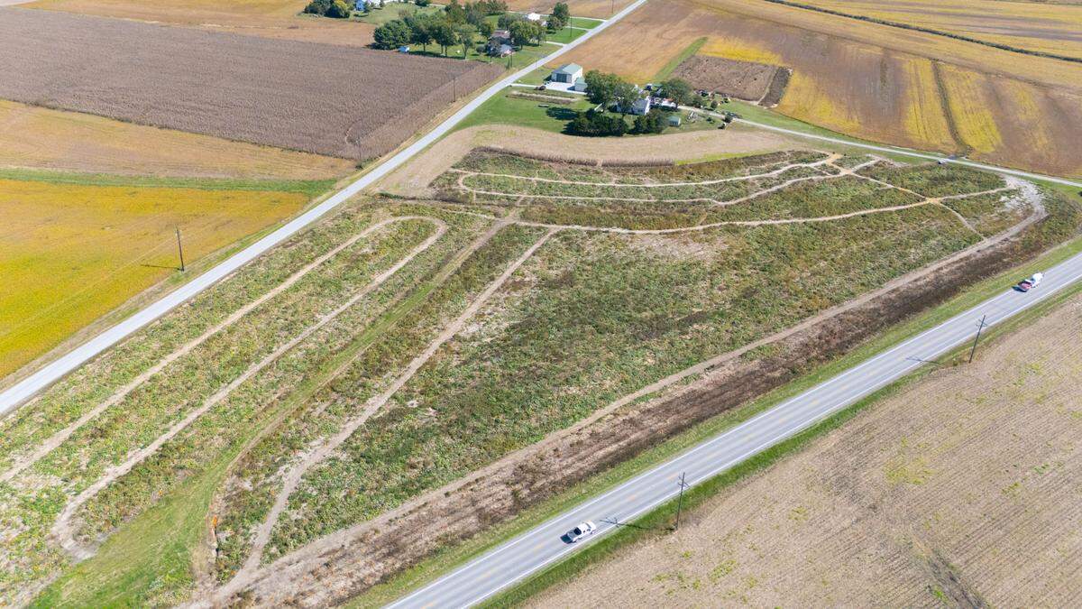 Pumpkin Blossom Farms has free admission and an exceptionally large pumpkin patch in the middle of Red Bud, Ill. farmland.