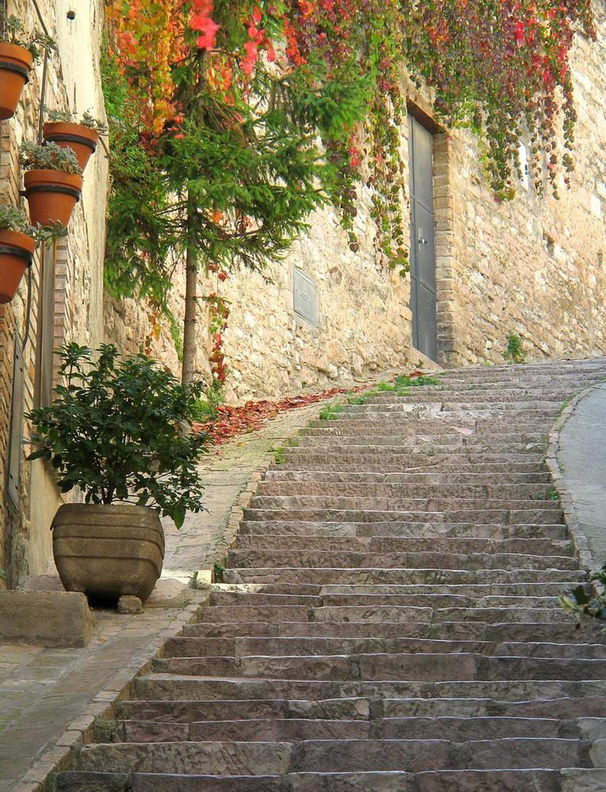 This work, “Red Ivy and Steps in Assisi,” will be part of Green Door Art Gallery’s exhibit, “The Places We’ll Go,” opening Wednesday, Jan. 5. This photo was taken by Greg Marchick in October 2005.