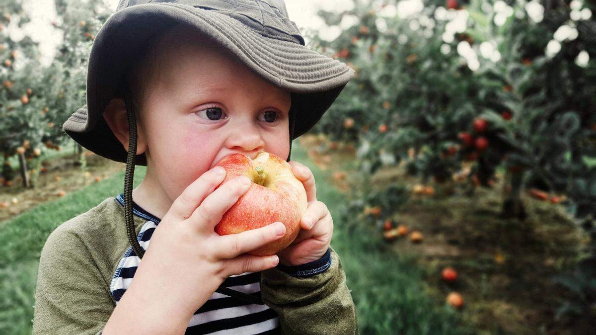 Eckert’s fan enjoying a EverCrisp® Apple
