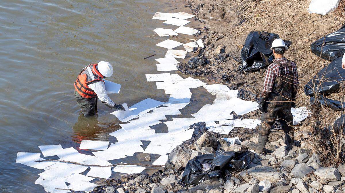 Workers use absorbent pads to remove oil from Cahokia Creek at the leak site. An estimated 163,800 gallons of crude oil leaked from the Marathon Pipe Line after in Edwardsville, some of which flowed into Cahokia creek. The oil leak started Friday morning in Edwardsville near Illinois 143 and Old Alton Edwardsville Road and entered Cahokia Creek, which is parallel to the pipeline. Clean up and repair crews continued on Monday at the main site and several other locations along the creek.