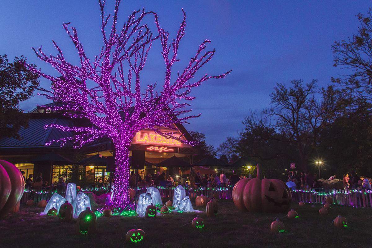 Enjoy festive, family-friendly Halloween activities at the Saint Louis Zoo’s Boo at the Zoo, held nightly Tuesday, Oct. 15, through Wednesday, Oct. 30. For information, visit www.stlzoo.org.