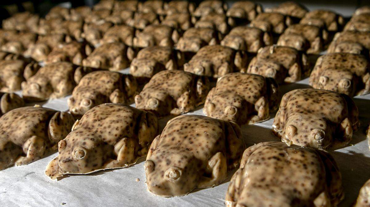 Frog-shaped soaps at Waterfall Glen Soap Co. in Belleville come with names, stories and instructions on how to teach them tricks.