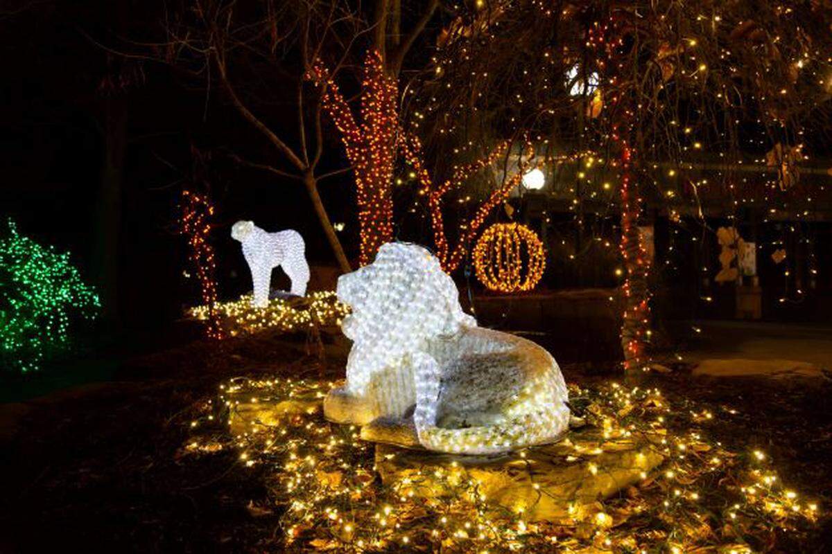 Saint Louis Zoo’s Wild Lights holiday lights display will be open on select nights through Friday, Dec. 30. For information, visit www.stlzoo.org/wildlights.