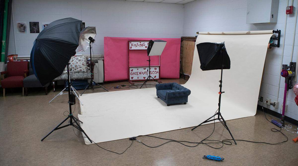 Gateway Pet Guardians has a full studio manned by volunteer photographers who help animals get adopted.