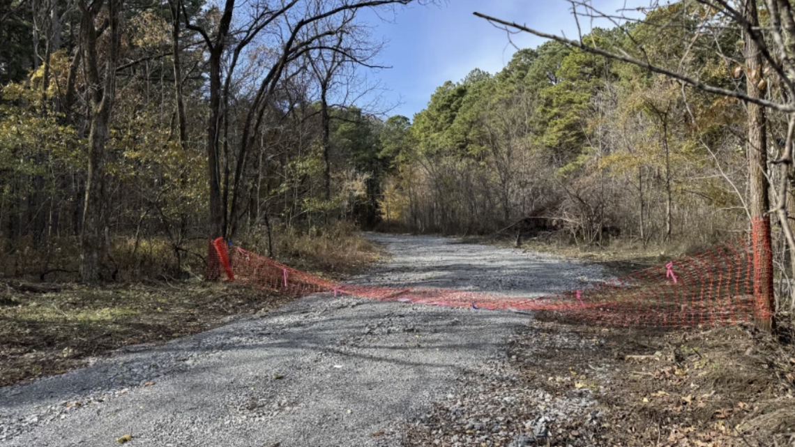How the Trump administration is fast-tracking logging in Illinois' only national forest