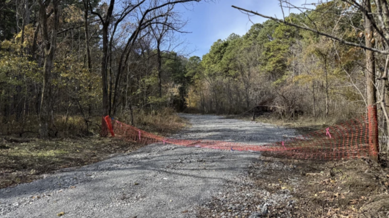How the Trump administration is fast-tracking logging in Illinois' only national forest