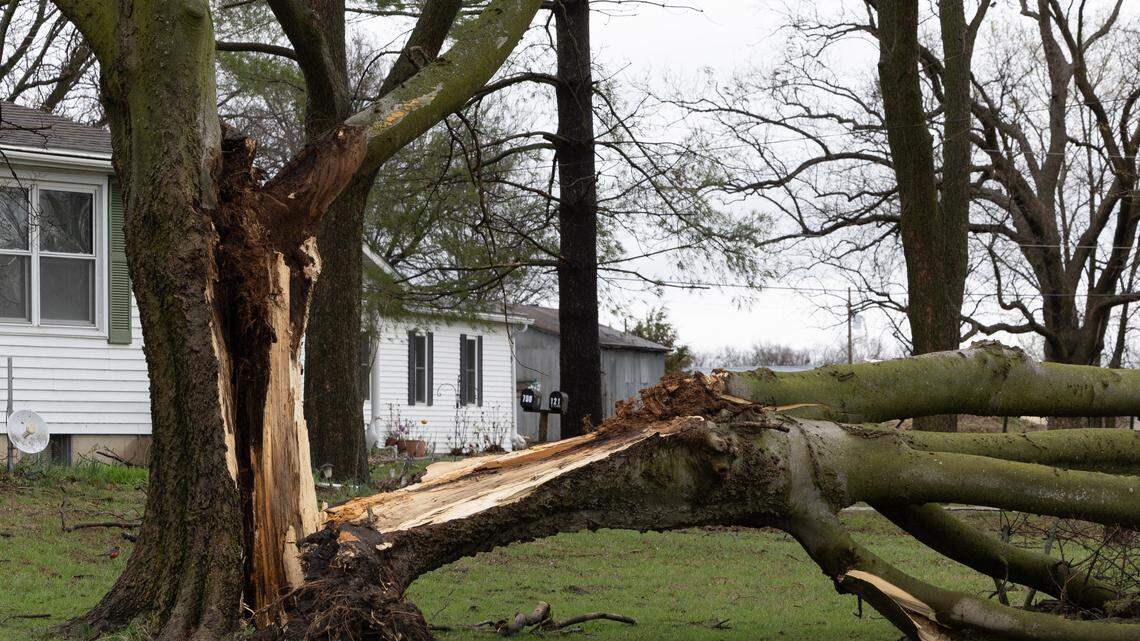 Thunderstorms, tornadoes possible overnight in Belleville. See latest forecast timing