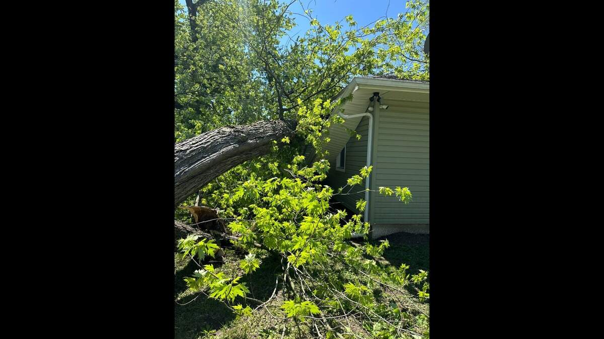 The home of Leonard and Debbie Moore on 48th Street in Washington Park, Il was heavily damaged by a fallen tree the day after storms passed through the region on April 18, 2024.