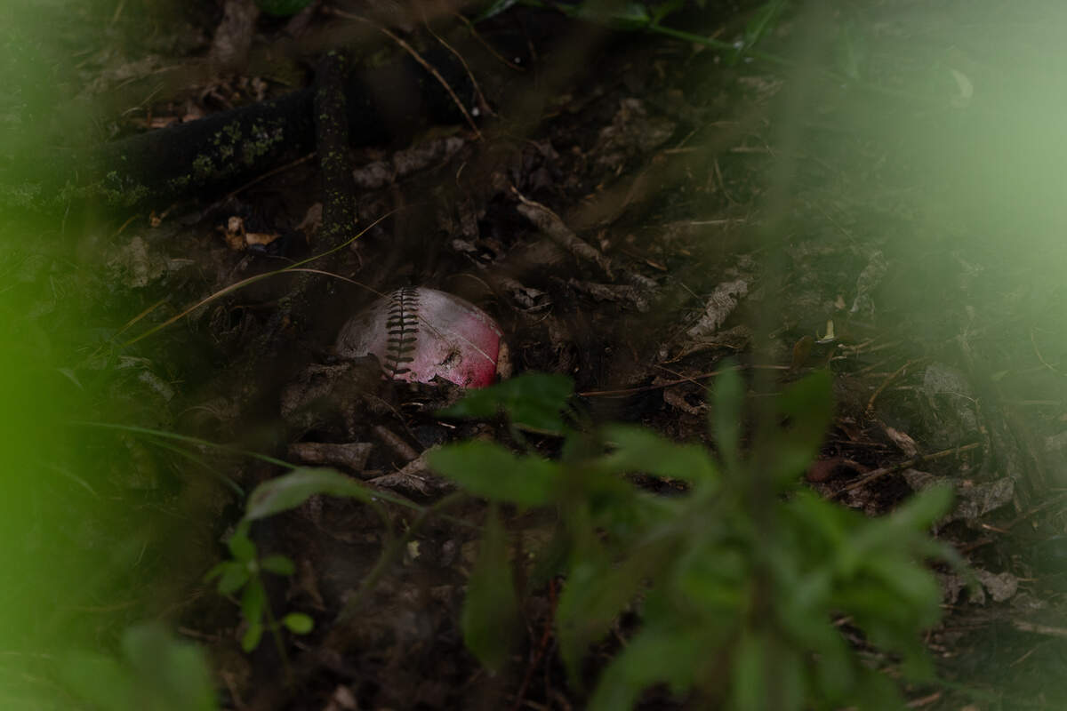 The Knoll Family Wildlife Sanctuary regularly hosts volunteer cleanup events to remove dumped debris and litter, such as this baseball, strewn throughout the property.
