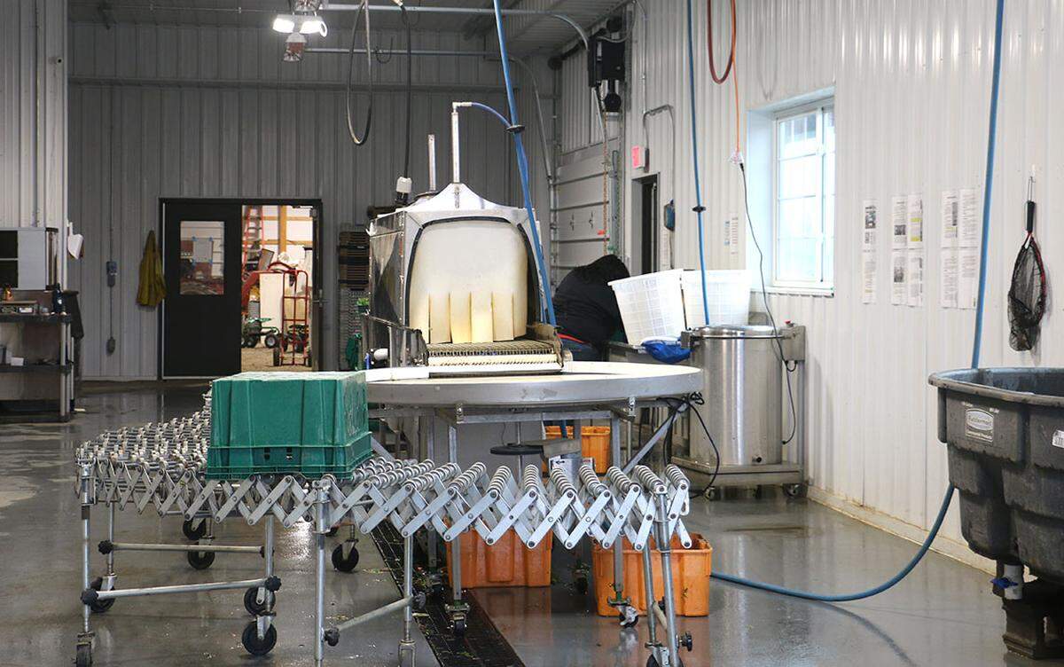 Illinois’ Local Food Infrastructure Grant program supported Sola Gratia’s purchase of much of the equipment in its washroom used to clean and package the produce grown at its farm in Urbana.