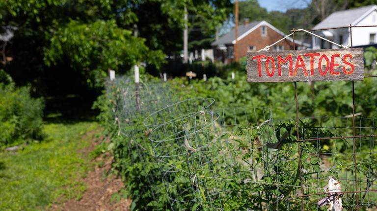 Property-rights group cites Illinois “Garden Act” in Millstadt garden dispute