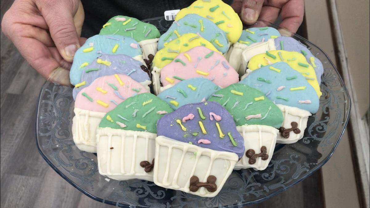 A look at a gourmet treat from the new pet boutique in Swansea.