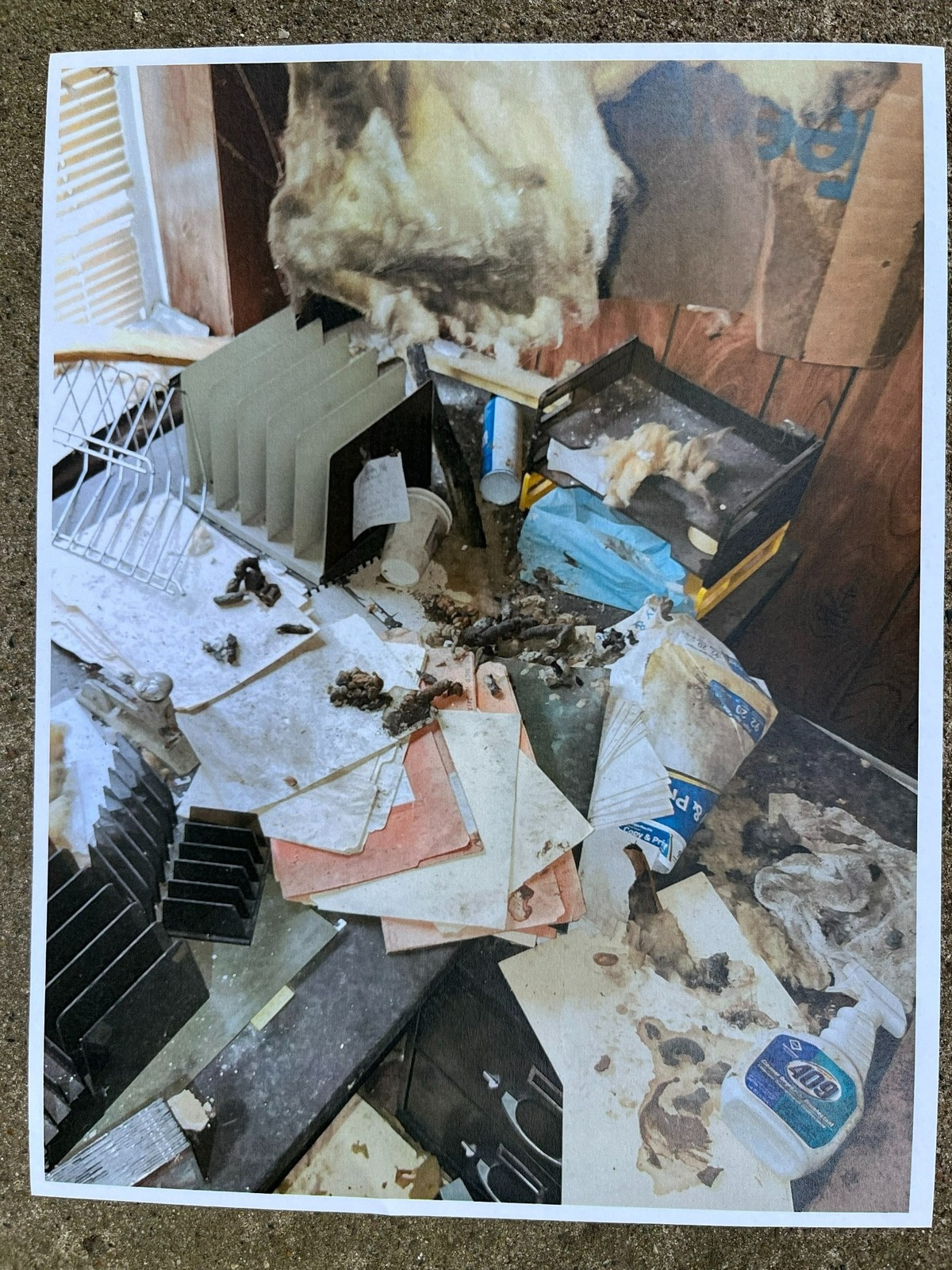 One of about 80 photos taken by Scott Tyler, the city of Belleville’s director of health, housing and building, inside a derelict building at 1013 W. Main St. that is slated for demolition.
