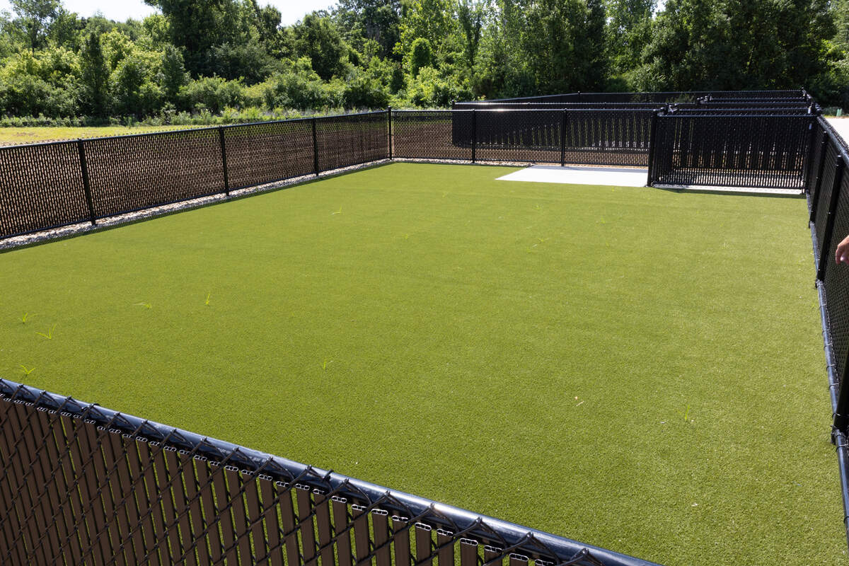 The back of the new St. Clair County animal control facility includes new astroturf play areas for dogs.