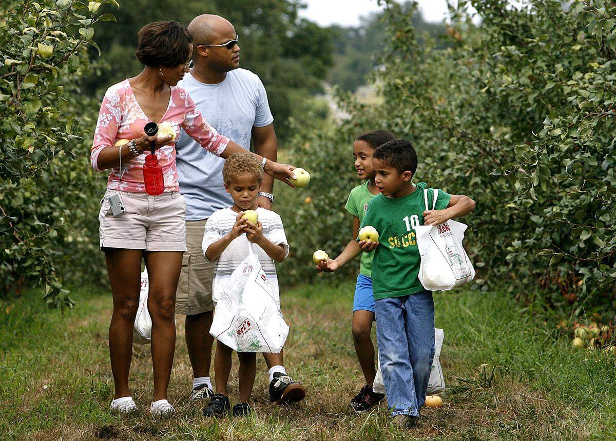 Eckert’s in Belleville offers pick-your-own apples.