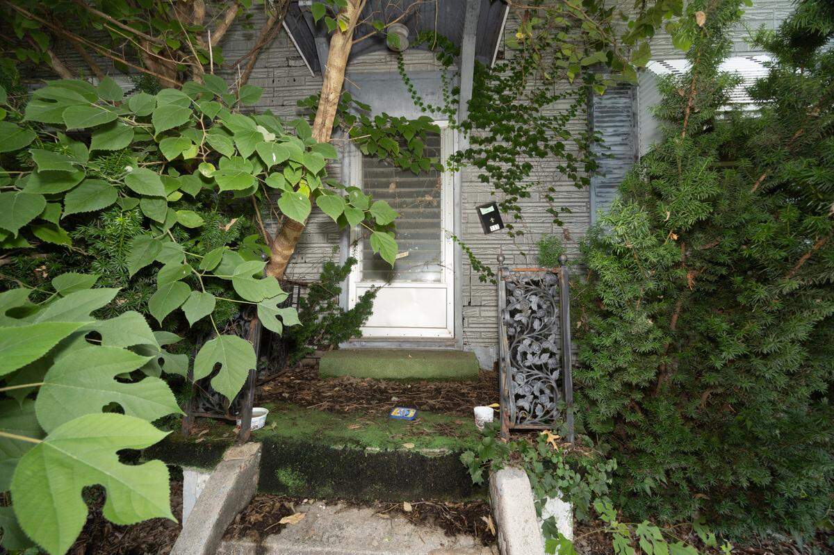 The front porch is overgrown at the condemned house at 217 N. Jackson St. in Belleville.