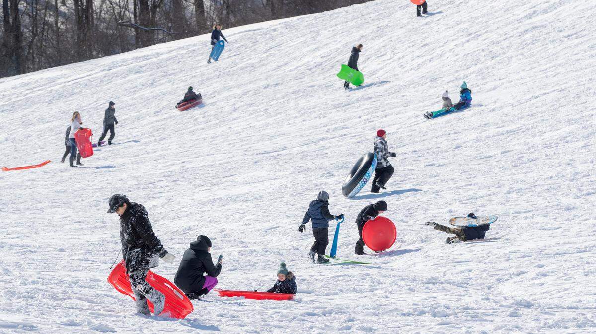Sledders took advantage of the snow Friday at Pleasant Ridge park in Fairview Heights.