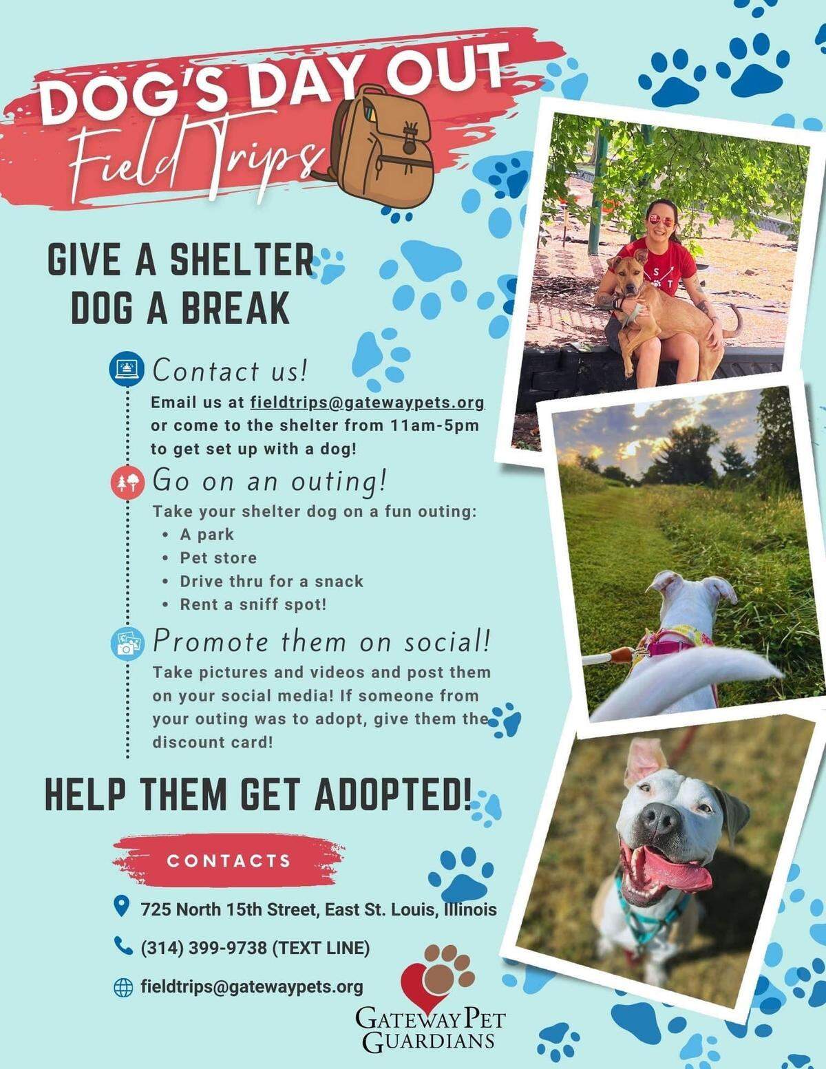 A flier showing Gateway Pet Guardians’ new “Dog’s Day Out” program, where locals can volunteer to take a dog out for a “field trip” or “sleepover.”