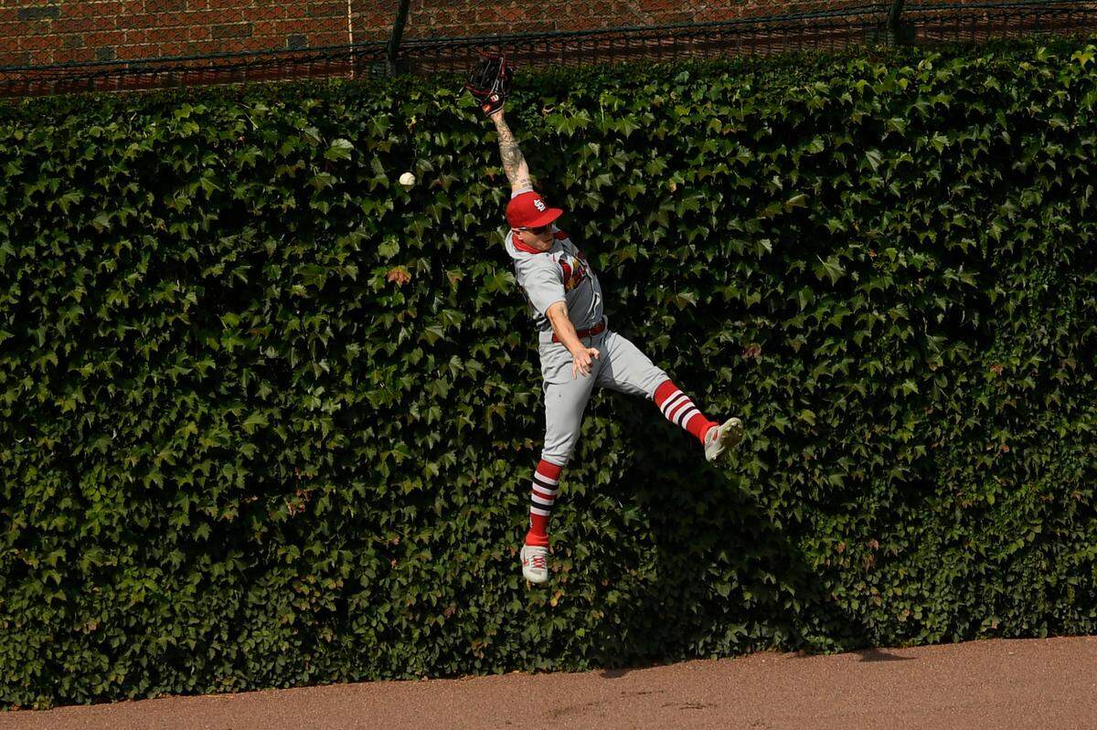 Tyler O’Neill and the Cardinals outfield were terrible all season long.