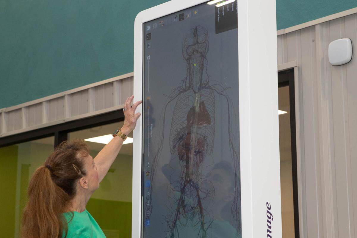 An open house attendee touches a high-tech teaching tool meant to show medical students complex anatomy, such as the digestive tract.