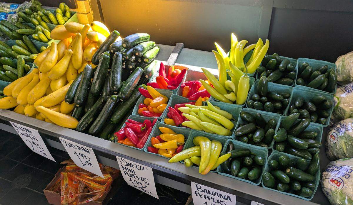 Selection of cucumbers, yellow squash, zucchini, sweet peppers, banana peppers, jalapeños