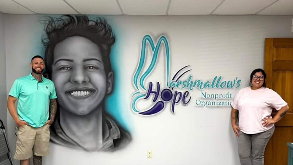 Son’s death pushes mom to help others with free Belleville mental health services
