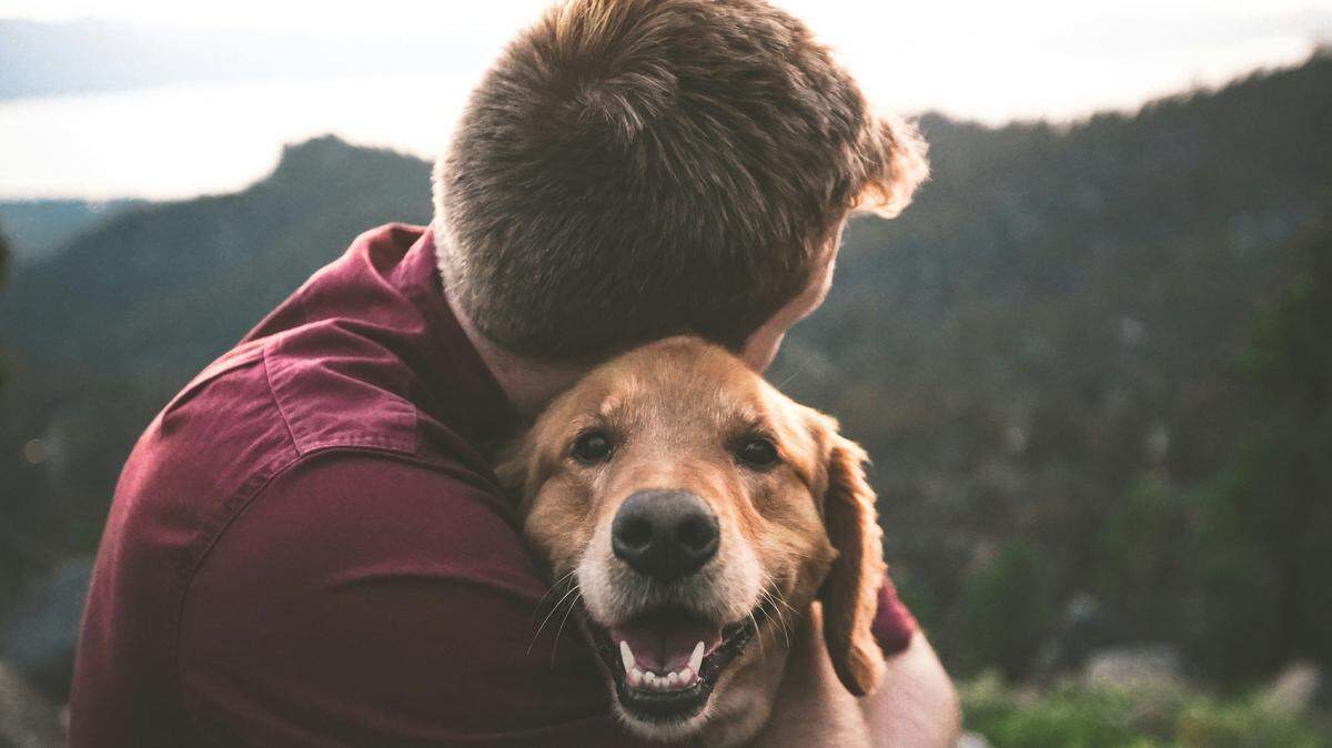Burying your dog or cat in your yard is technically legal in Illinois, but some rules apply depending on where you live within the state.