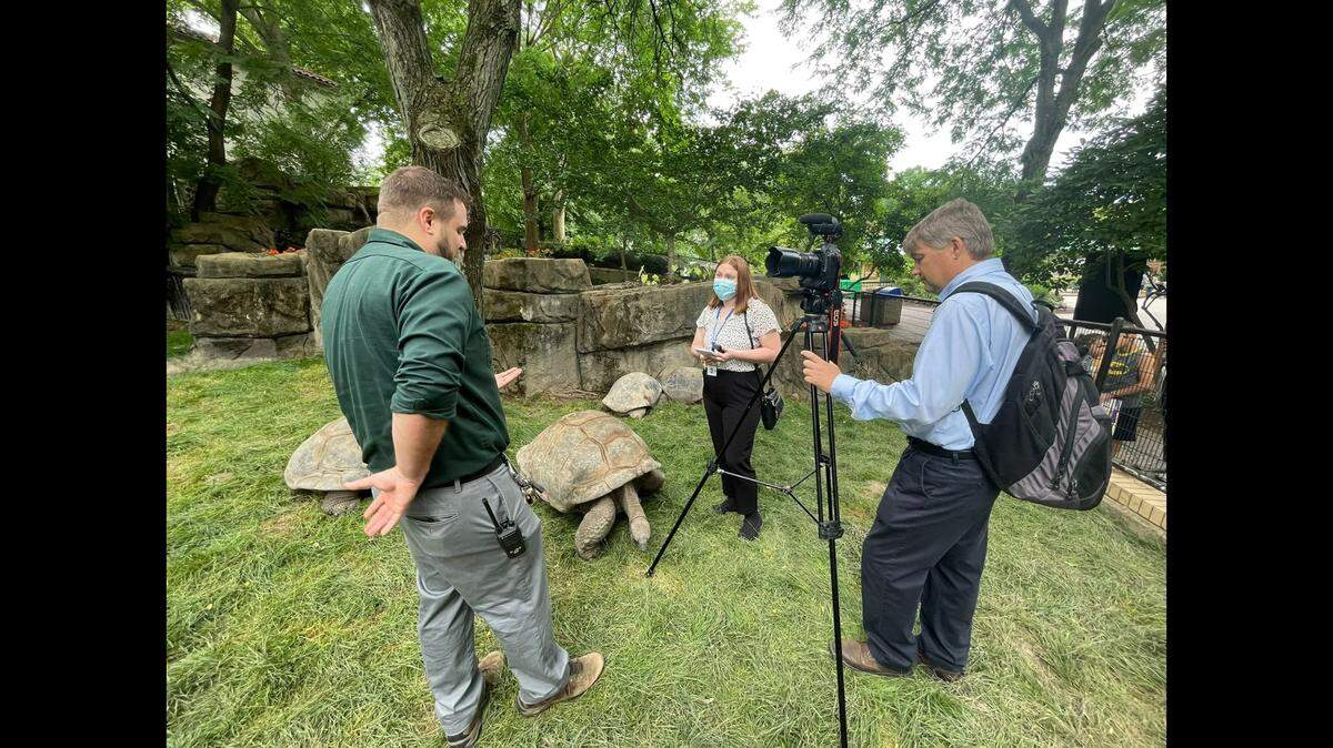 BND reporter Meredith Howard, center, shown covering the story of the Aldabra tortoises at the Saint Louis Zoo in 2022. Pictured with Howard is Justin Elden (left), zoological manager of Herpetology at the St. Louis Zoo, and Derik Holtmann, former BND photojournalist.