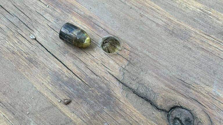‘It’s terrifying’: Swansea residents find 9 mm bullet embedded in backyard deck